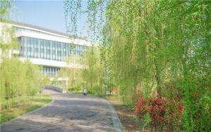 河南高考多少分能录取沈阳工学院？2024年文科最低436分 理科413分