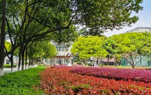 天津高考多少分报考吉林工程技术师范学院？附2022-2024年最低录取分数线