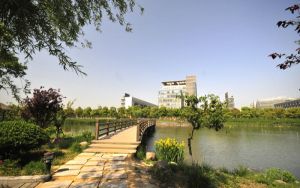 河南454分考生都可以填报哪些公办大学？（供2025届高三考生参考）