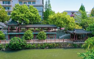福建475分考生可以报考哪些公办本科大学？（附带2022-2024年475录取名单）