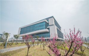 安徽高考511分左右报考大学都有哪些？ 2024年录取最低分511的大学