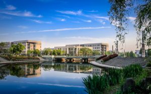 山东高考多少分能考上沈阳工业大学？附2022-2024年最低录取分数线