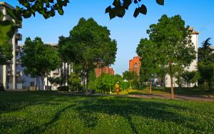 湖南高考多少分能上大连民族大学？附2022-2024年院校投档线