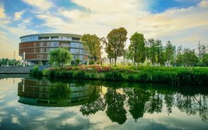 西藏高考多少分能考上上海中医药大学？2024年录取分分
