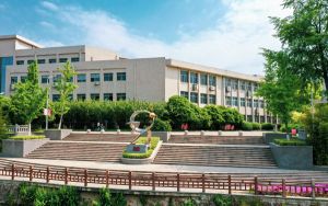 上海高考453分左右的可以报考的本科大学名单！（附带2022-2024年453录取名单）