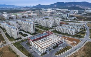 山东高考多少分报考齐鲁医药学院？附2022-2024年最低录取分数线