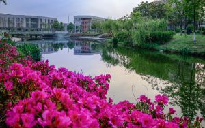 广东高考多少分能上湖南医药学院？附2022-2024年最低录取分数线