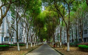 黑龙江高考多少分能录取渭南师范学院？附2022-2024年最低录取分数线