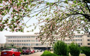 重庆高考多少分能考上贵州财经大学？2024年历史类最低515分 物理类投档线469分