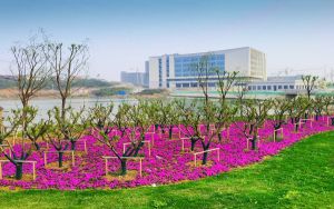 海南高考586分左右录取的公办本科大学名单！（附带2022-2024年586录取名单）