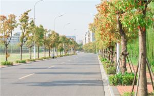 陕西高考多少分报考新疆天山职业技术大学？2024年文科投档线445分 理科录取分412分