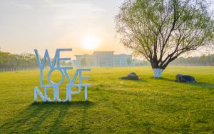 云南高考多少分能上沈阳城市建设学院？附2022-2024年最低录取分数线