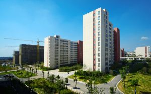 重庆高考多少分报考南宁理工学院？附2022-2024年最低录取分数线
