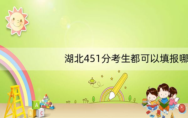 湖北451分考生都可以填报哪些公办大学？（附带2022-2024年451录取大学名单）