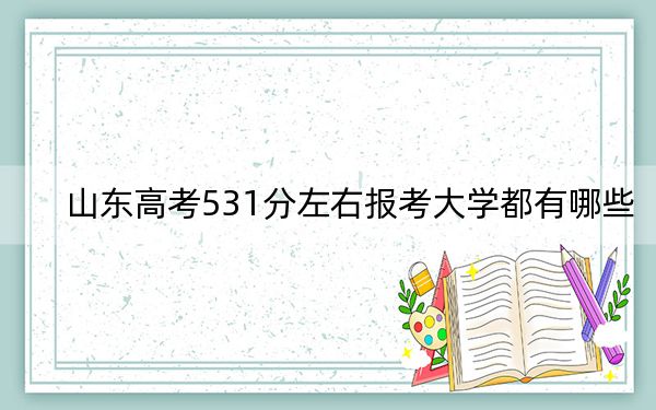 山东高考531分左右报考大学都有哪些？