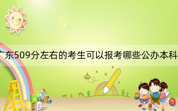 广东509分左右的考生可以报考哪些公办本科大学? 2024年一共70所大学录取