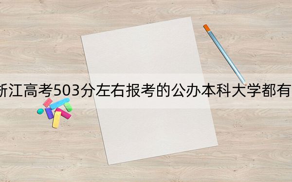 浙江高考503分左右报考的公办本科大学都有哪些？（附带2022-2024年503录取名单）