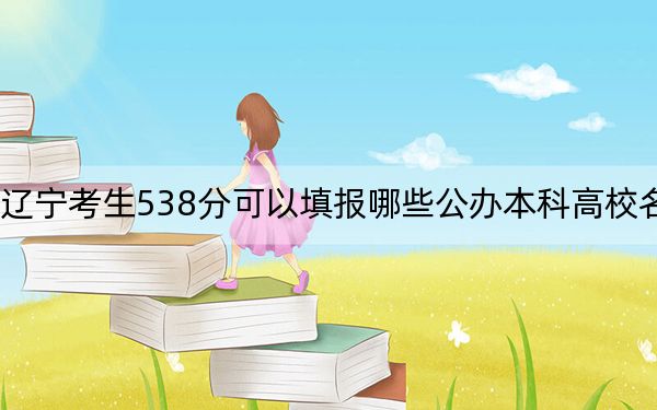 辽宁考生538分可以填报哪些公办本科高校名单？（附带近三年高考大学录取名单）