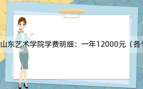 2024年山东艺术学院学费明细：一年12000元（各专业收费标准）