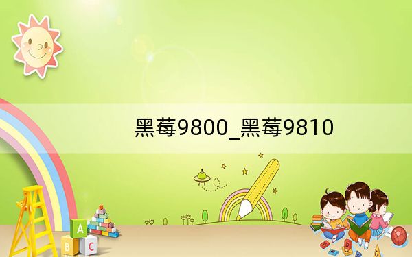 黑莓9800_黑莓9810