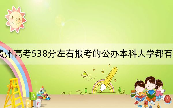贵州高考538分左右报考的公办本科大学都有哪些? 2025年高考可以填报17所大学