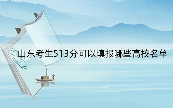 山东考生513分可以填报哪些高校名单? 2024年录取最低分513的大学