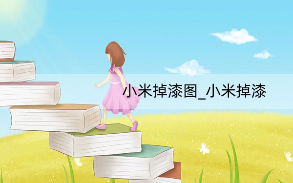 小米掉漆图_小米掉漆