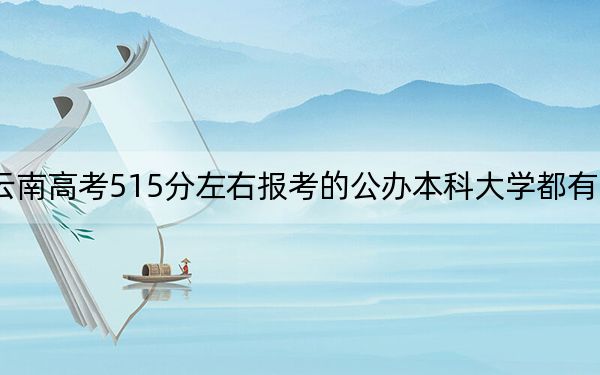 云南高考515分左右报考的公办本科大学都有哪些?