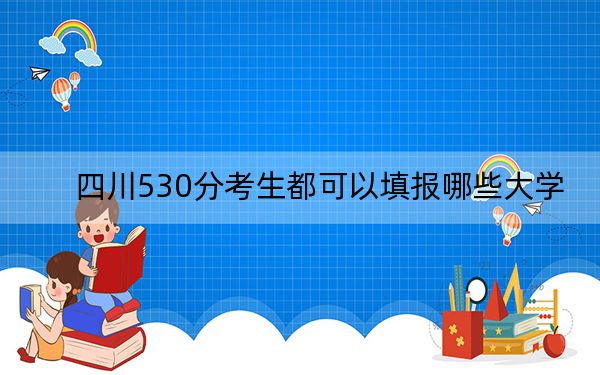 四川530分考生都可以填报哪些大学？ 2024年一共35所大学录取