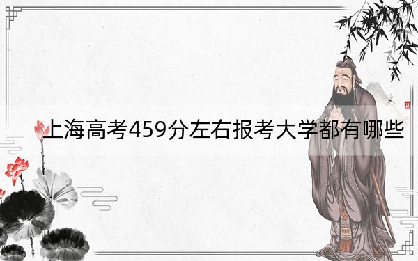 上海高考459分左右报考大学都有哪些?(附带2022-2024年459左右大学名单)