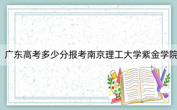 广东高考多少分报考南京理工大学紫金学院？附2022-2024年最低录取分数线