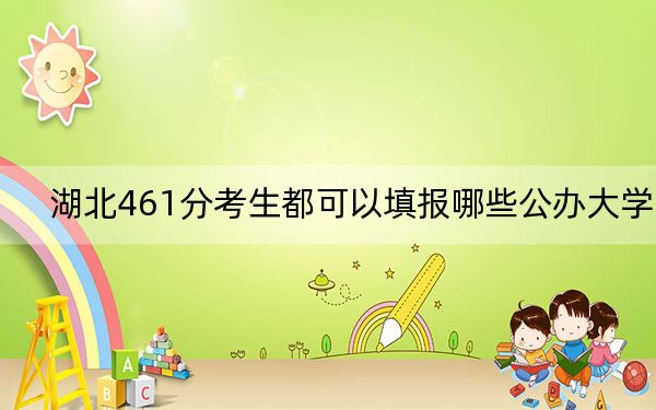 湖北461分考生都可以填报哪些公办大学？ 2024年有29所录取最低分461的大学