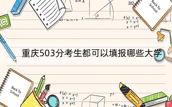 重庆503分考生都可以填报哪些大学？（附带2022-2024年503左右大学名单）