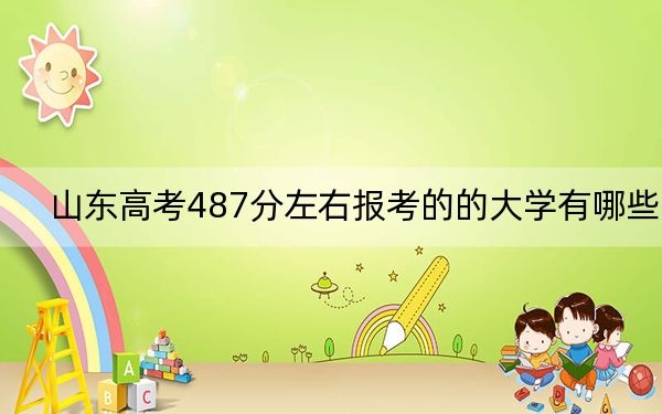 山东高考487分左右报考的的大学有哪些？ 2024年有30所录取最低分487的大学