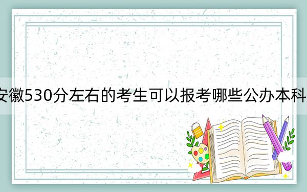 安徽530分左右的考生可以报考哪些公办本科大学？