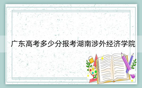 广东高考多少分报考湖南涉外经济学院？附2022-2024年院校最低投档线