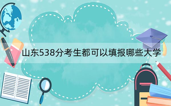 山东538分考生都可以填报哪些大学？ 2025年高考可以填报9所大学