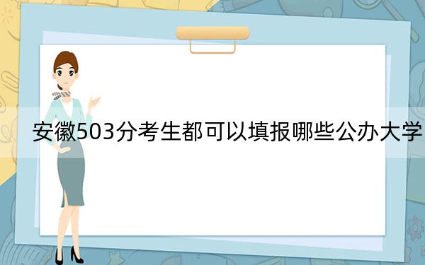 安徽503分考生都可以填报哪些公办大学？ 2024年一共70所大学录取(2)