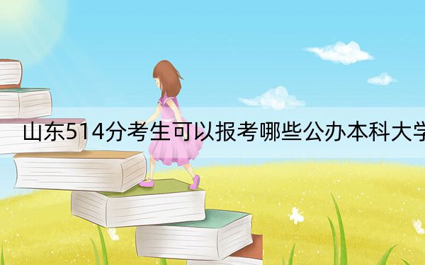 山东514分考生可以报考哪些公办本科大学？（附带近三年高考大学录取名单）