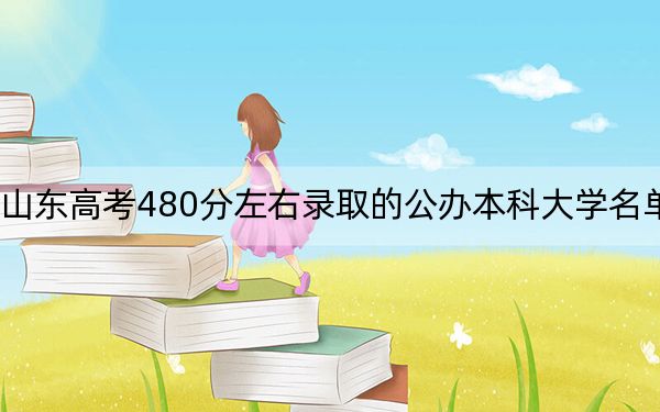 山东高考480分左右录取的公办本科大学名单！