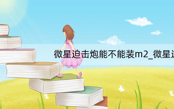 微星迫击炮能不能装m2_微星迫击炮识别不到m2