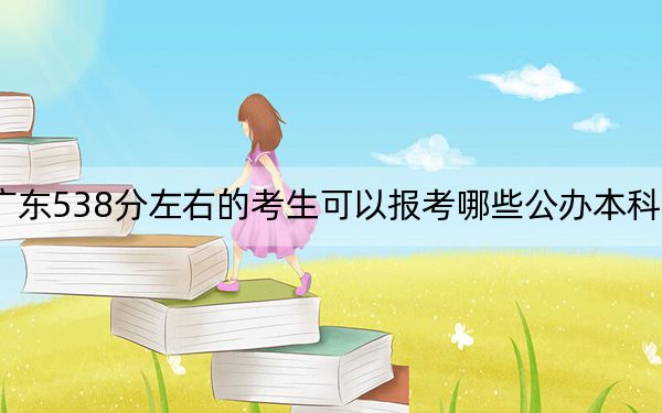 广东538分左右的考生可以报考哪些公办本科大学？