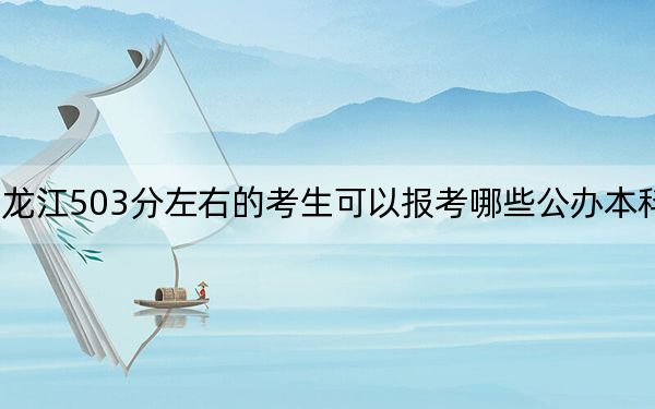黑龙江503分左右的考生可以报考哪些公办本科大学? 2024年有54所录取最低分503的大学