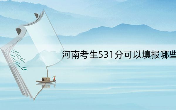 河南考生531分可以填报哪些高校名单?