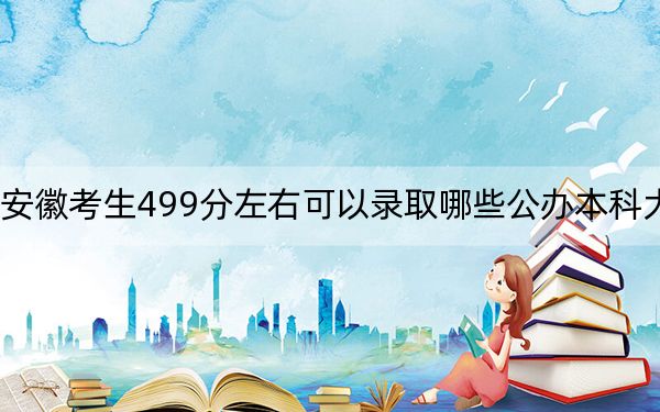 安徽考生499分左右可以录取哪些公办本科大学？（供2025年考生参考）