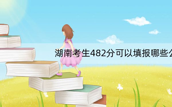湖南考生482分可以填报哪些公办本科高校名单?(供2025年考生参考)