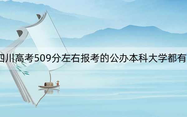 四川高考509分左右报考的公办本科大学都有哪些? 2025年高考可以填报70所大学
