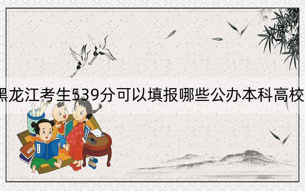 黑龙江考生539分可以填报哪些公办本科高校名单？（附带近三年539分大学录取名单）