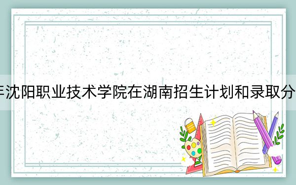 2024年沈阳职业技术学院在湖南招生计划和录取分数线是多少？湖南考生2025年参考