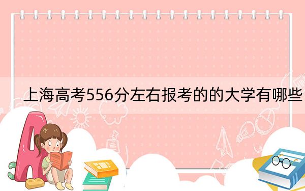上海高考556分左右报考的的大学有哪些？ 2024年高考有13所556录取的大学